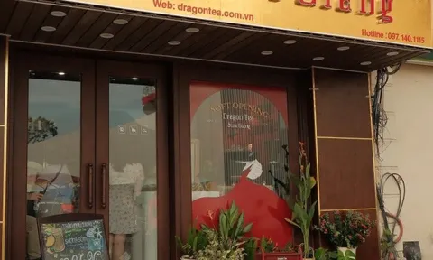 Vị trà trăm năm của núi rừng Tây Bắc “hạ sơn” trong ly trà sữa giữa lòng Thủ đô