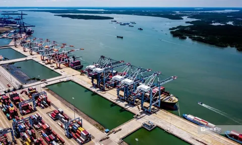 Thị trường logistics ASEAN duy trì linh hoạt trước những biến động quốc tế